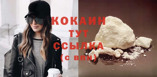 ПСИЛОЦИБИНОВЫЕ ГРИБЫ Дмитров