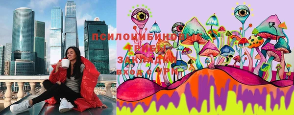 ПСИЛОЦИБИНОВЫЕ ГРИБЫ Дмитров