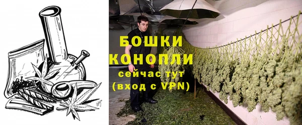 стаф Дмитриев