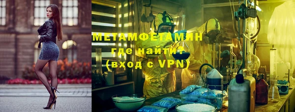 PSILOCYBIN Заводоуковск