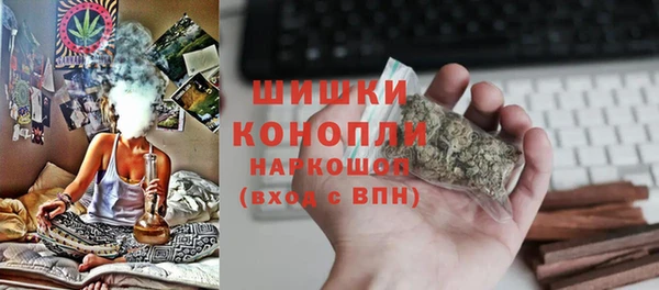 PSILOCYBIN Заводоуковск
