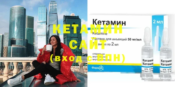 стаф Дмитриев