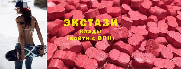 стаф Дмитриев