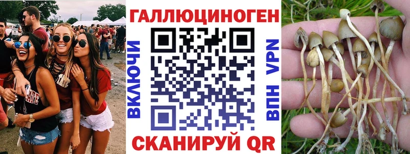 как найти наркотики Похвистнево Галлюциногенные грибы Magic Shrooms