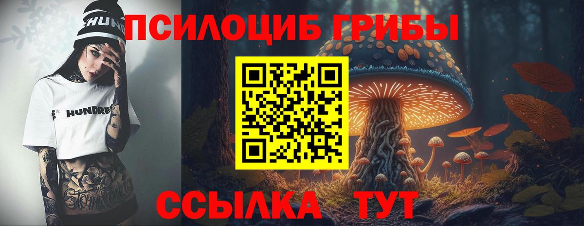 Псилоцибиновые грибы мухоморы  Вход с VPN  Похвистнево 